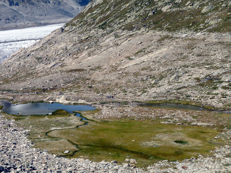 Dal Ghiacciao dell''Aletsch